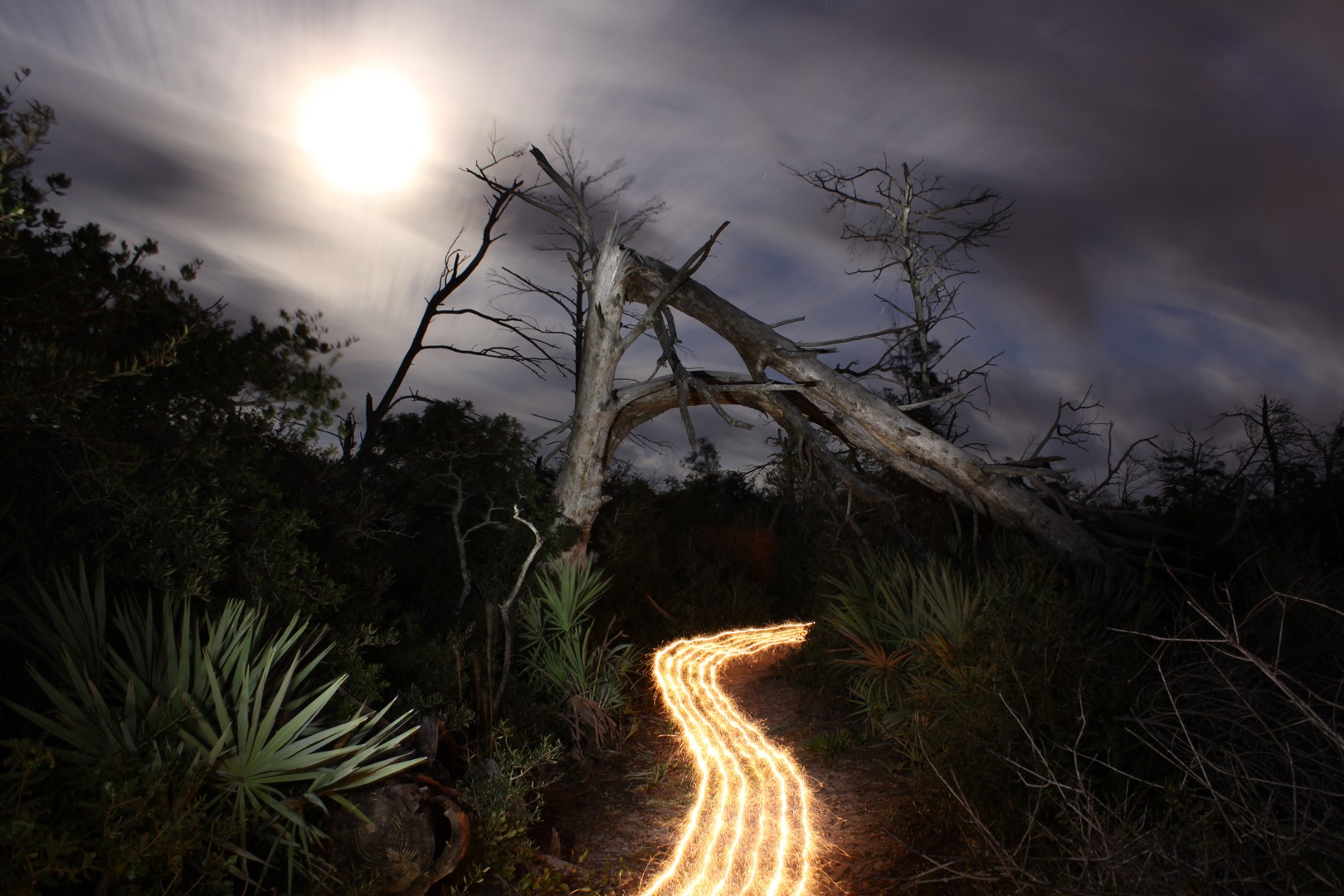 Jason Page – Light painting photographer