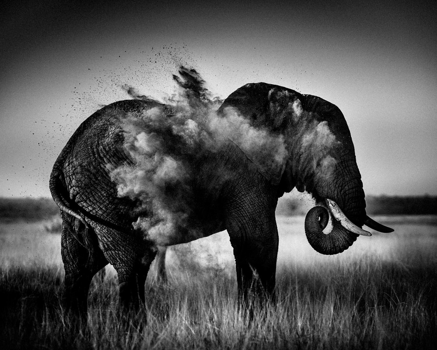 Laurent Baheux – Black and white Africa